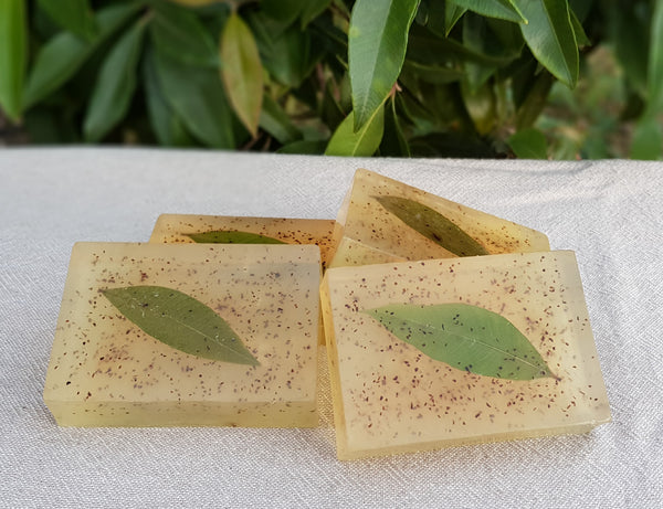 Lemon Myrtle Soap-Hand Made